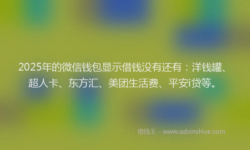 2025年的微信钱包显示借钱没有还有：洋钱罐、超人卡、东方汇、美团生活费、平安i贷等。