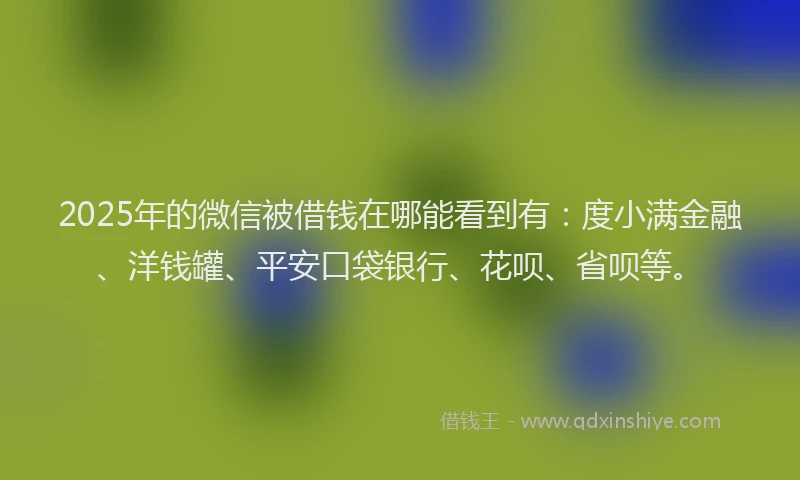 2025年的微信被借钱在哪能看到有：度小满金融、洋钱罐、平安口袋银行、花呗、省呗等。