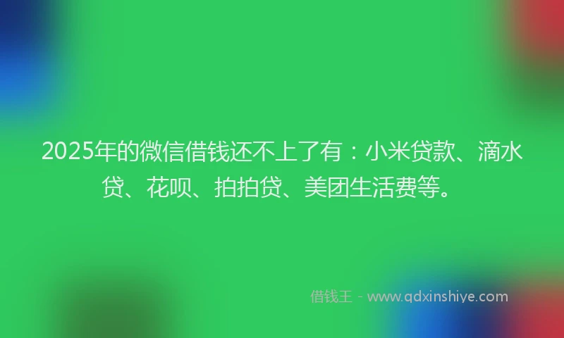 2025年的微信借钱还不上了有：小米贷款、滴水贷、花呗、拍拍贷、美团生活费等。