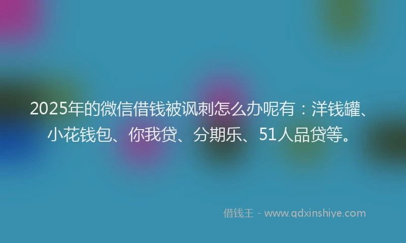 2025年的微信借钱被讽刺怎么办呢有：洋钱罐、小花钱包、你我贷、分期乐、51人品贷等。
