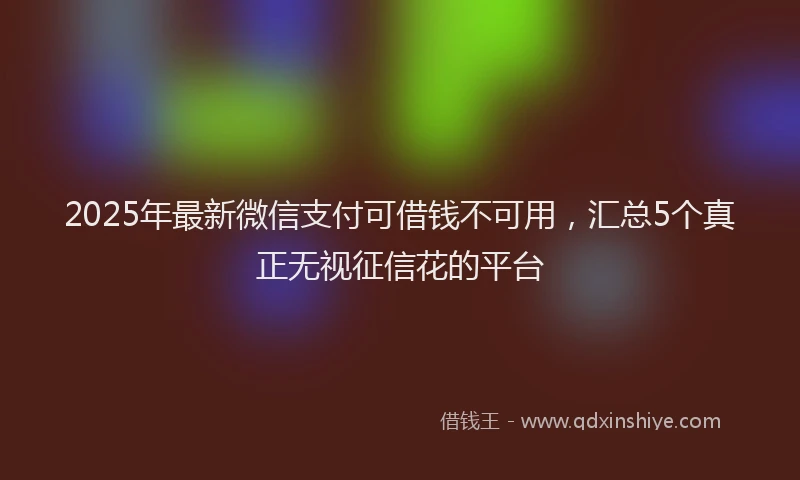 2025年最新微信支付可借钱不可用，汇总5个真正无视征信花的平台