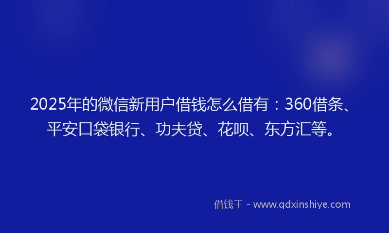 2025年的微信新用户借钱怎么借有：360借条、平安口袋银行、功夫贷、花呗、东方汇等。