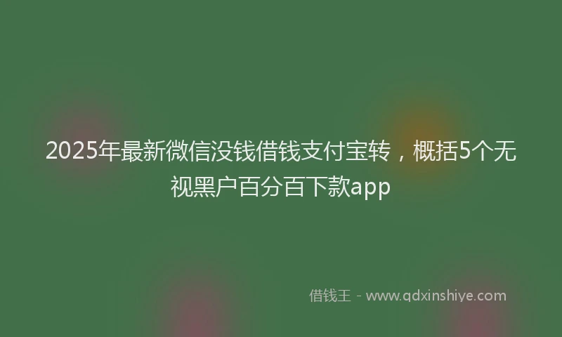 2025年最新微信没钱借钱支付宝转，概括5个无视黑户百分百下款app