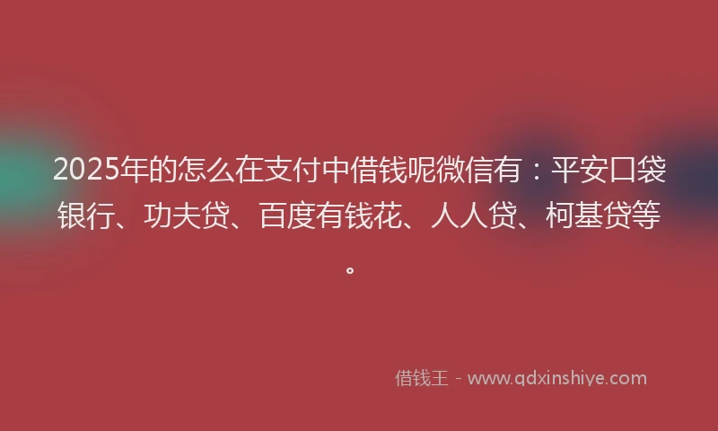 2025年的怎么在支付中借钱呢微信有：平安口袋银行、功夫贷、百度有钱花、人人贷、柯基贷等。