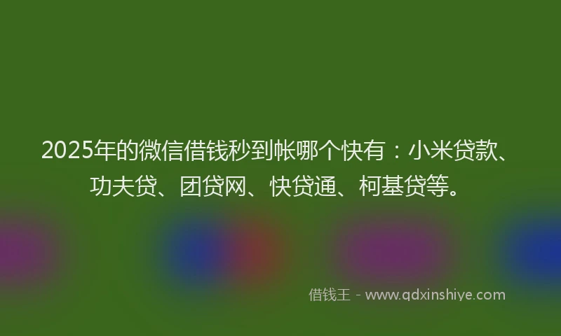 2025年的微信借钱秒到帐哪个快有：小米贷款、功夫贷、团贷网、快贷通、柯基贷等。