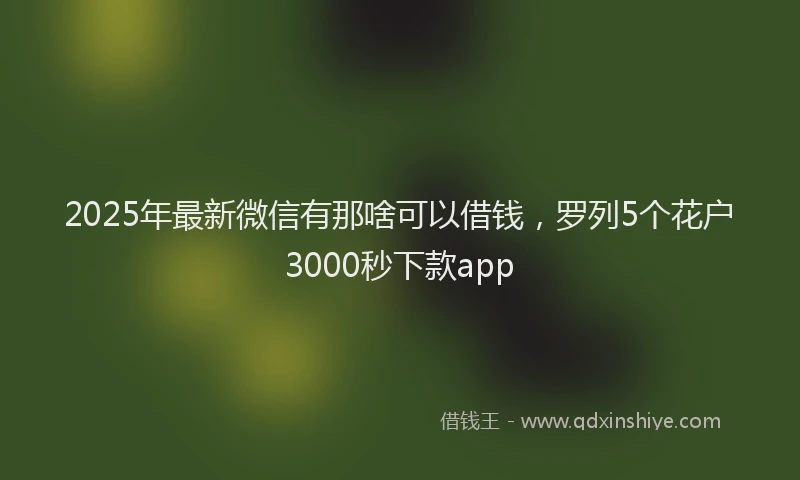 2025年最新微信有那啥可以借钱，罗列5个花户3000秒下款app