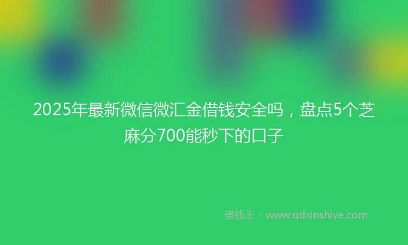 2025年最新微信微汇金借钱安全吗，盘点5个芝麻分700能秒下的口子