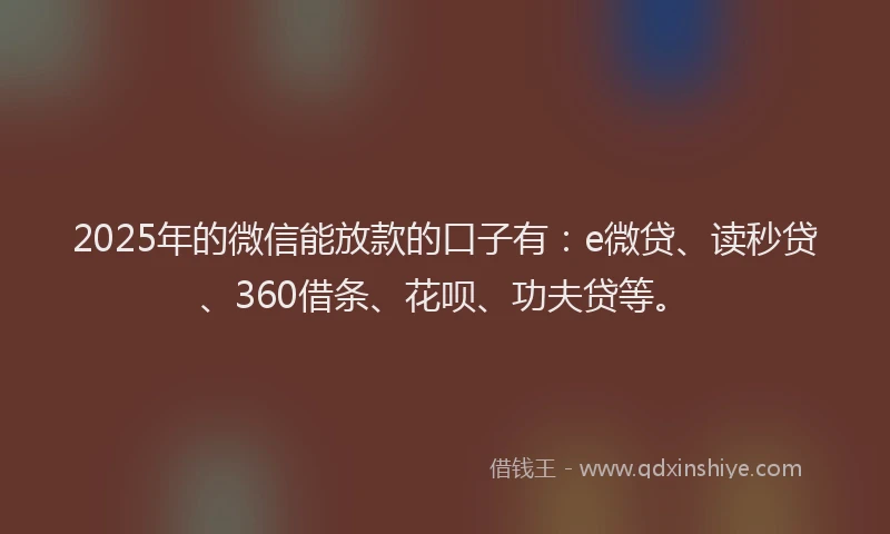 2025年的微信能放款的口子有：e微贷、读秒贷、360借条、花呗、功夫贷等。