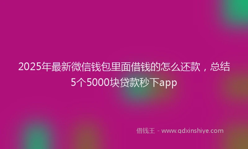 2025年最新微信钱包里面借钱的怎么还款，总结5个5000块贷款秒下app