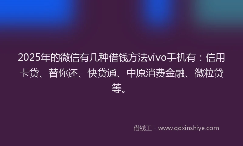 2025年的微信有几种借钱方法vivo手机有：信用卡贷、替你还、快贷通、中原消费金融、微粒贷等。