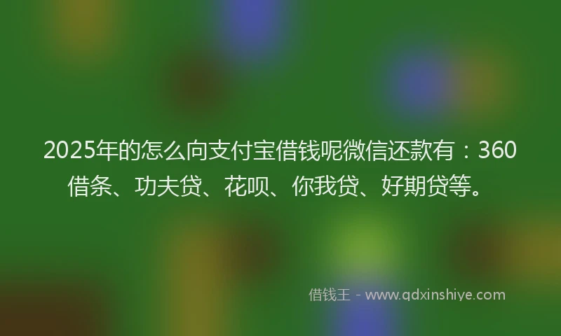2025年的怎么向支付宝借钱呢微信还款有：360借条、功夫贷、花呗、你我贷、好期贷等。