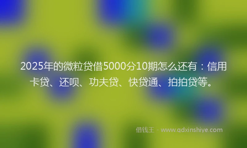 2025年的微粒贷借5000分10期怎么还有：信用卡贷、还呗、功夫贷、快贷通、拍拍贷等。