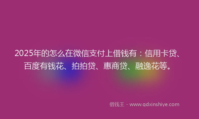 2025年的怎么在微信支付上借钱有：信用卡贷、百度有钱花、拍拍贷、惠商贷、融逸花等。
