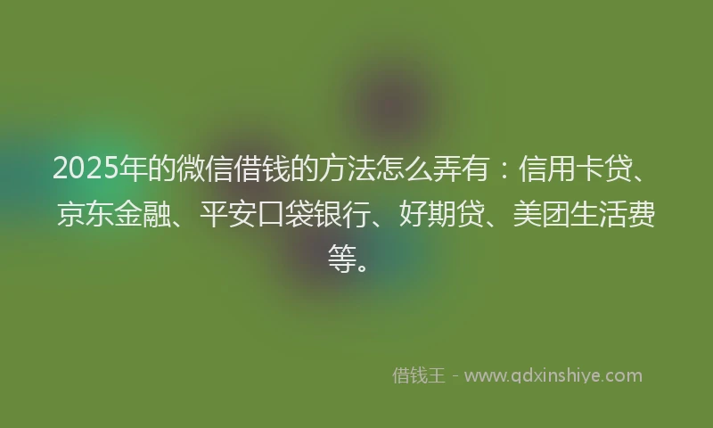 2025年的微信借钱的方法怎么弄有：信用卡贷、京东金融、平安口袋银行、好期贷、美团生活费等。