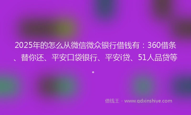 2025年的怎么从微信微众银行借钱有：360借条、替你还、平安口袋银行、平安i贷、51人品贷等。