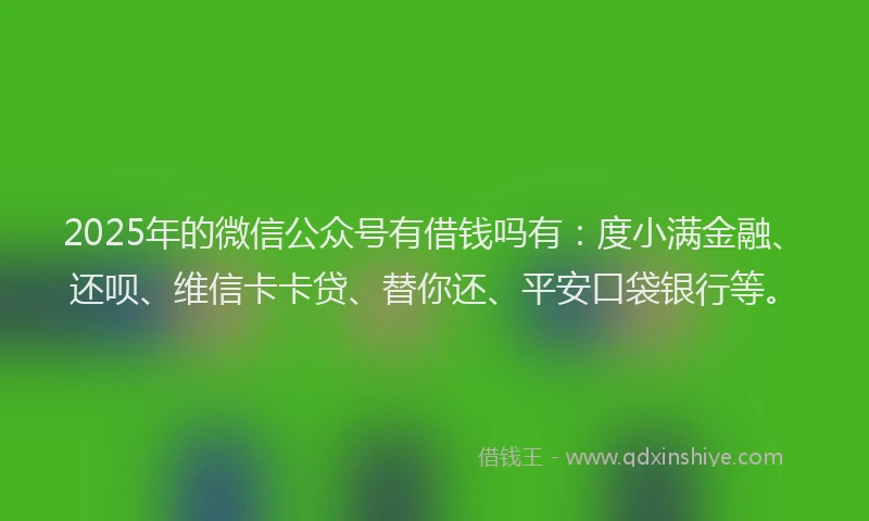 2025年的微信公众号有借钱吗有：度小满金融、还呗、维信卡卡贷、替你还、平安口袋银行等。