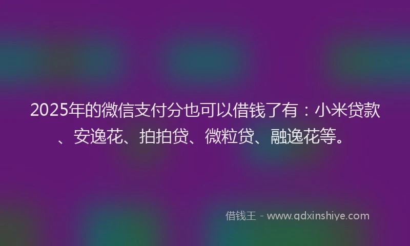 2025年的微信支付分也可以借钱了有：小米贷款、安逸花、拍拍贷、微粒贷、融逸花等。