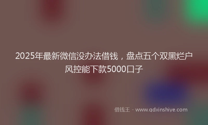 2025年最新微信没办法借钱，盘点五个双黑烂户风控能下款5000口子
