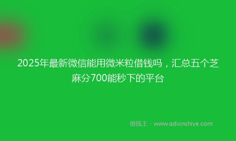2025年最新微信能用微米粒借钱吗，汇总五个芝麻分700能秒下的平台