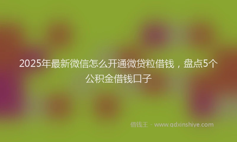 2025年最新微信怎么开通微贷粒借钱，盘点5个公积金借钱口子