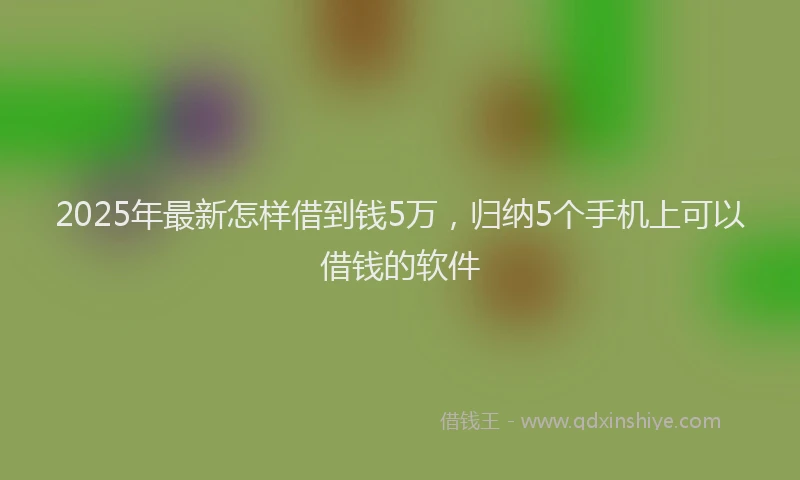 2025年最新怎样借到钱5万，归纳5个手机上可以借钱的软件