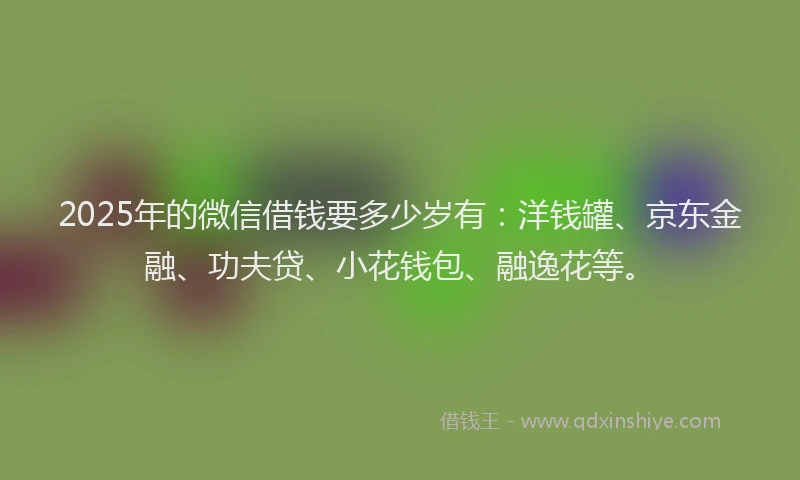 2025年的微信借钱要多少岁有：洋钱罐、京东金融、功夫贷、小花钱包、融逸花等。