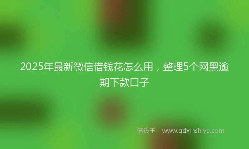 2025年最新微信借钱花怎么用，整理5个网黑逾期下款口子
