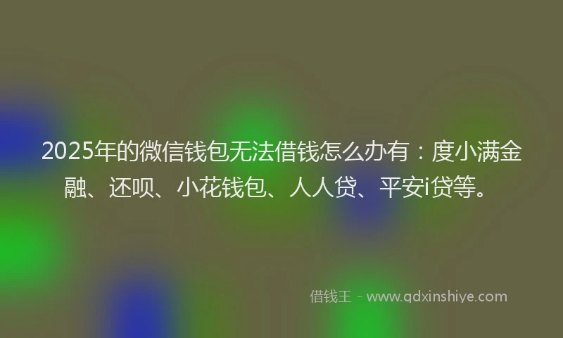 2025年的微信钱包无法借钱怎么办有：度小满金融、还呗、小花钱包、人人贷、平安i贷等。