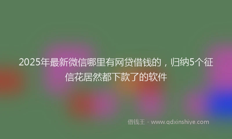 2025年最新微信哪里有网贷借钱的，归纳5个征信花居然都下款了的软件