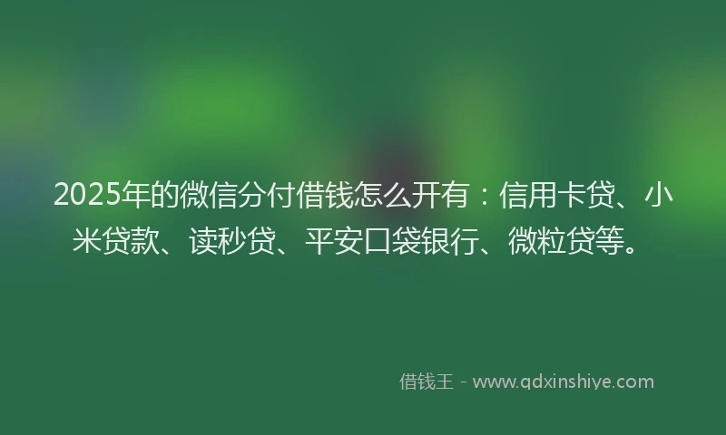 2025年的微信分付借钱怎么开有：信用卡贷、小米贷款、读秒贷、平安口袋银行、微粒贷等。