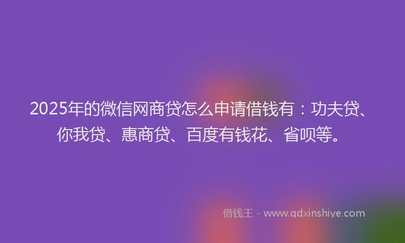 2025年的微信网商贷怎么申请借钱有：功夫贷、你我贷、惠商贷、百度有钱花、省呗等。