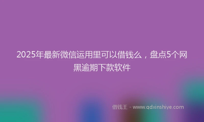 2025年最新微信运用里可以借钱么，盘点5个网黑逾期下款软件