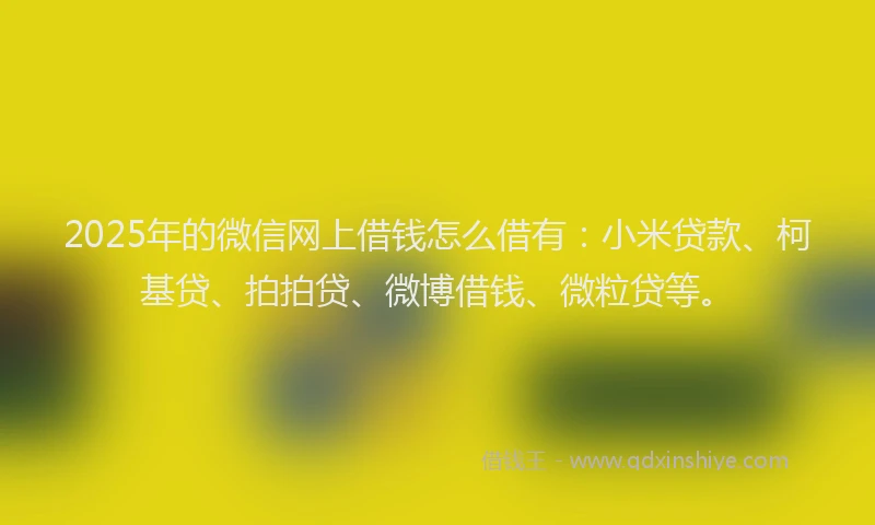 2025年的微信网上借钱怎么借有：小米贷款、柯基贷、拍拍贷、微博借钱、微粒贷等。