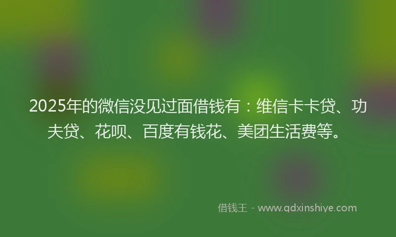 2025年的微信没见过面借钱有：维信卡卡贷、功夫贷、花呗、百度有钱花、美团生活费等。