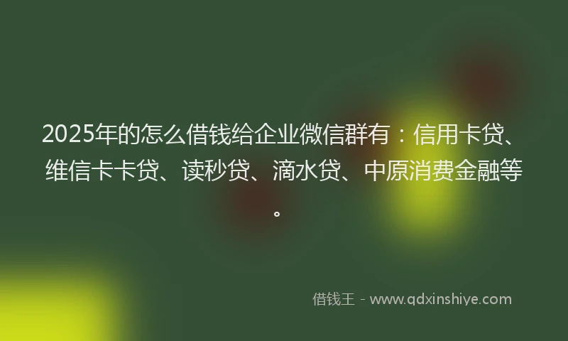 2025年的怎么借钱给企业微信群有：信用卡贷、维信卡卡贷、读秒贷、滴水贷、中原消费金融等。