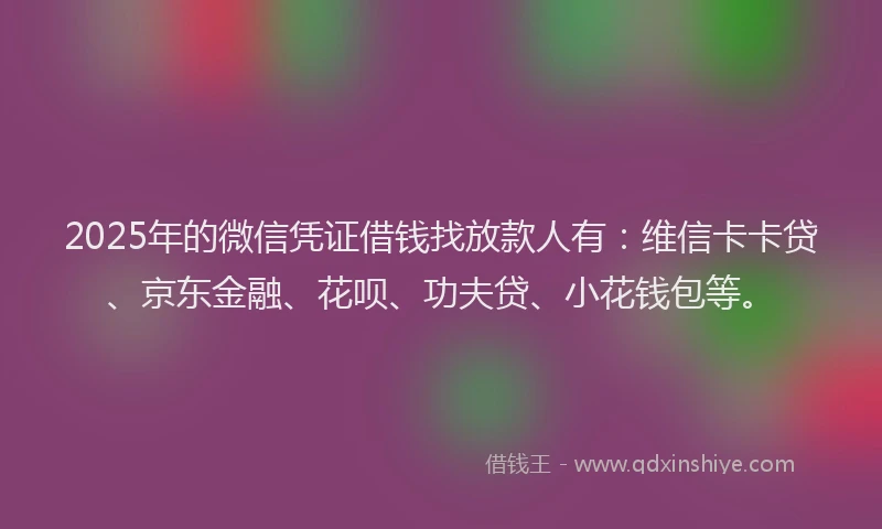 2025年的微信凭证借钱找放款人有：维信卡卡贷、京东金融、花呗、功夫贷、小花钱包等。