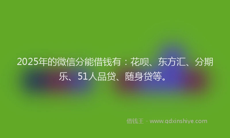 2025年的微信分能借钱有：花呗、东方汇、分期乐、51人品贷、随身贷等。