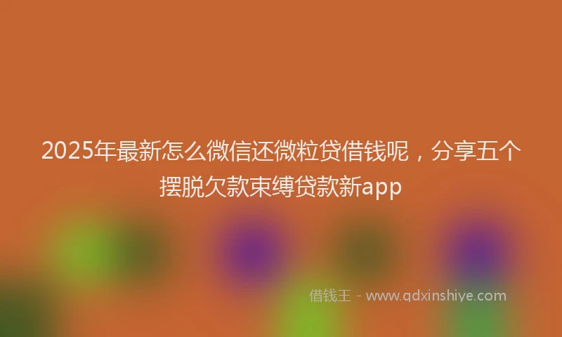 2025年最新怎么微信还微粒贷借钱呢，分享五个摆脱欠款束缚贷款新app