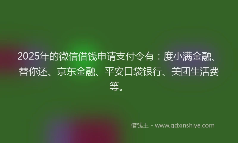 2025年的微信借钱申请支付令有：度小满金融、替你还、京东金融、平安口袋银行、美团生活费等。