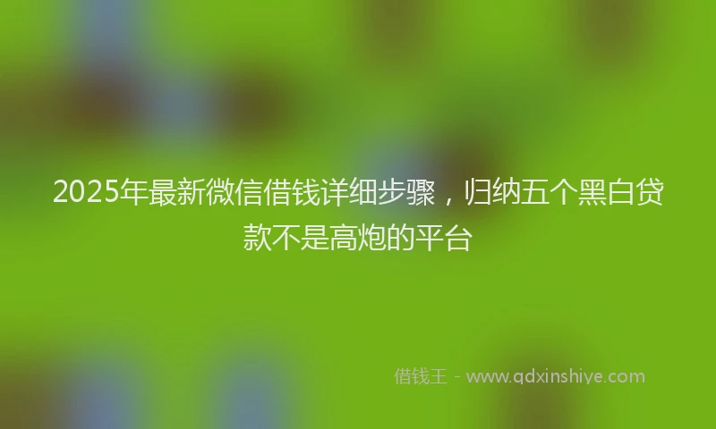 2025年最新微信借钱详细步骤，归纳五个黑白贷款不是高炮的平台
