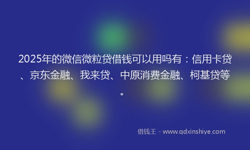 2025年的微信微粒贷借钱可以用吗有：信用卡贷、京东金融、我来贷、中原消费金融、柯基贷等。