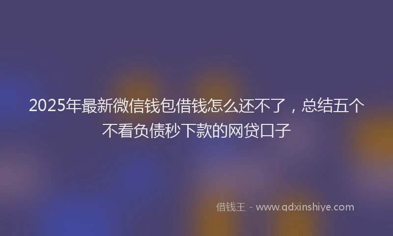 2025年最新微信钱包借钱怎么还不了，总结五个不看负债秒下款的网贷口子