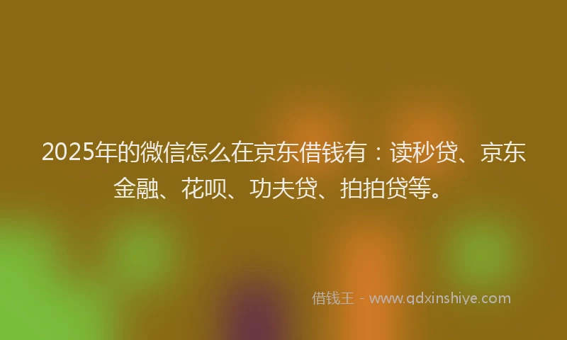 2025年的微信怎么在京东借钱有：读秒贷、京东金融、花呗、功夫贷、拍拍贷等。