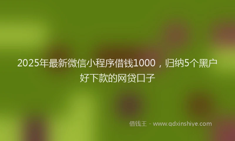 2025年最新微信小程序借钱1000，归纳5个黑户好下款的网贷口子