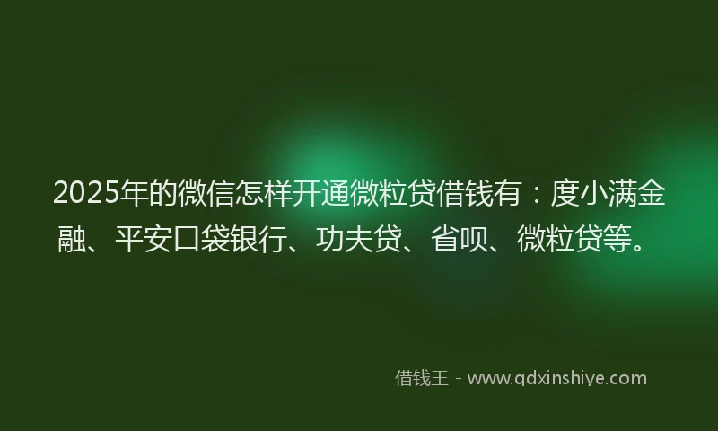 2025年的微信怎样开通微粒贷借钱有：度小满金融、平安口袋银行、功夫贷、省呗、微粒贷等。