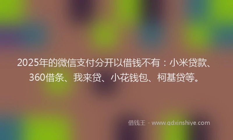 2025年的微信支付分开以借钱不有：小米贷款、360借条、我来贷、小花钱包、柯基贷等。