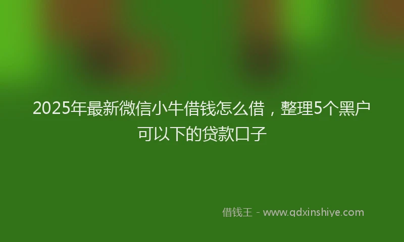 2025年最新微信小牛借钱怎么借，整理5个黑户可以下的贷款口子