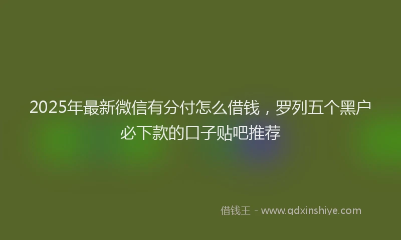 2025年最新微信有分付怎么借钱，罗列五个黑户必下款的口子贴吧推荐
