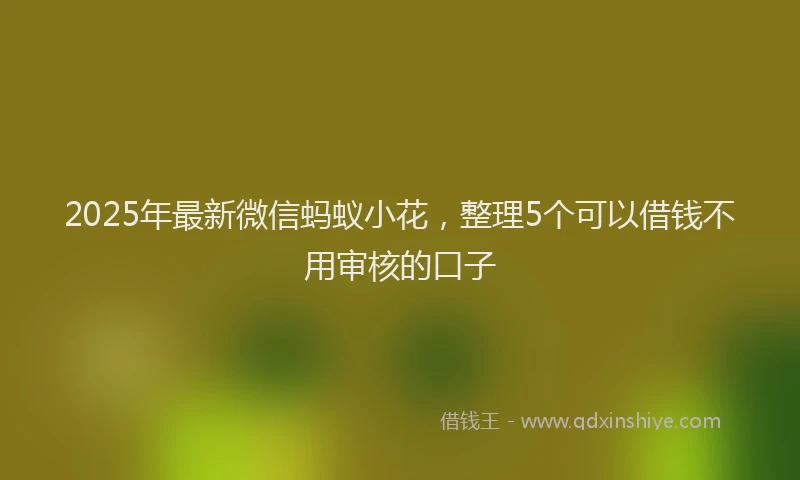 2025年最新微信蚂蚁小花，整理5个可以借钱不用审核的口子