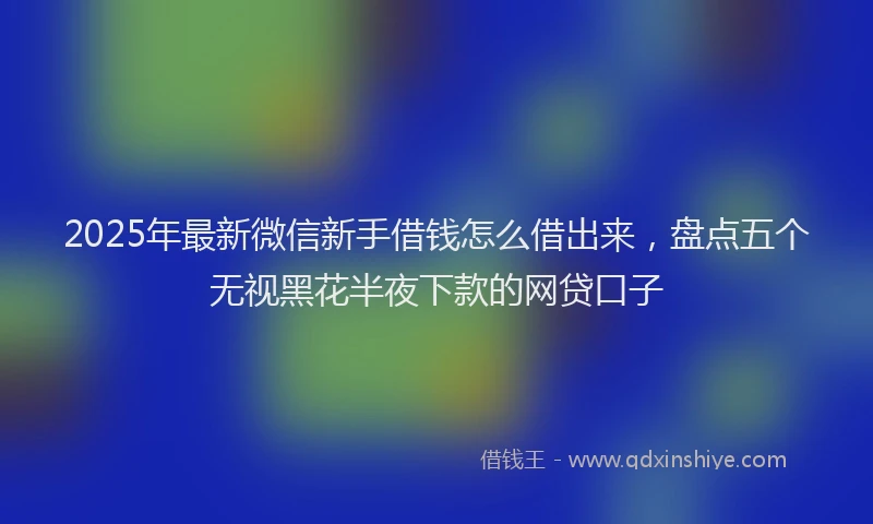 2025年最新微信新手借钱怎么借出来，盘点五个无视黑花半夜下款的网贷口子